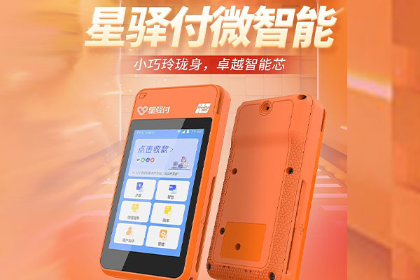 文山国通微电签POS机